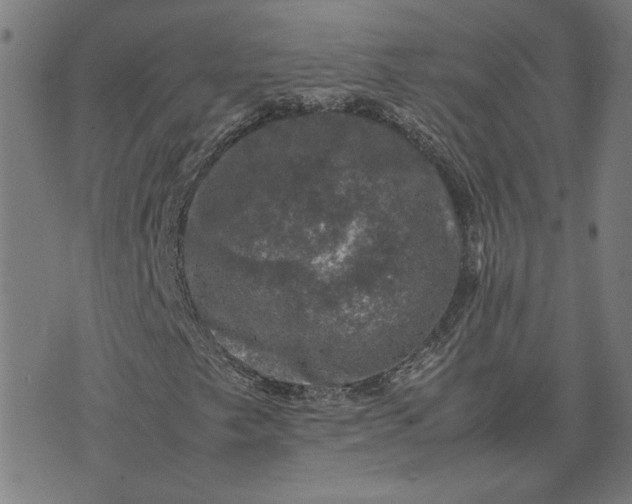 X0000074231249200609081612