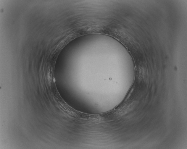 X0000074231250200609081612