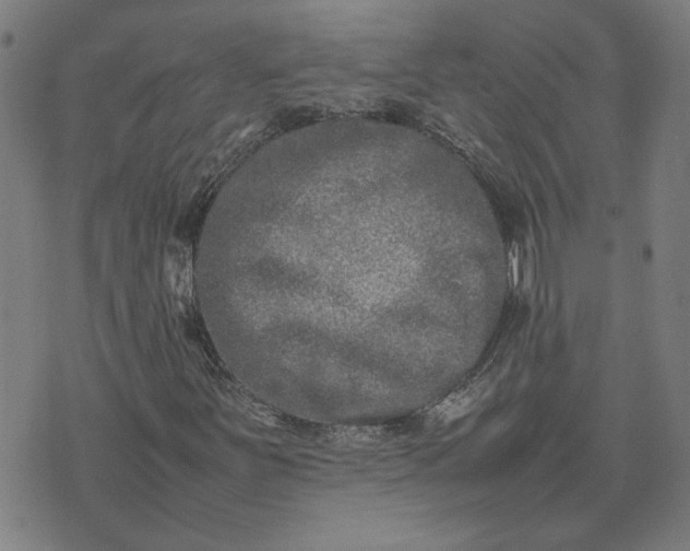 X0000074231251200609081612