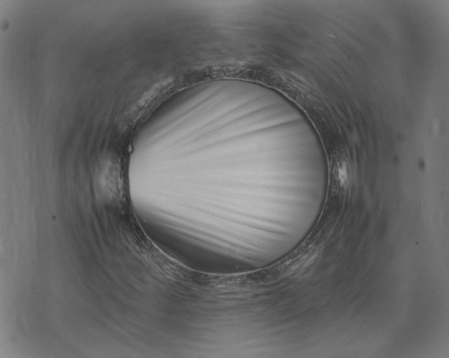 X0000074231252200609081612