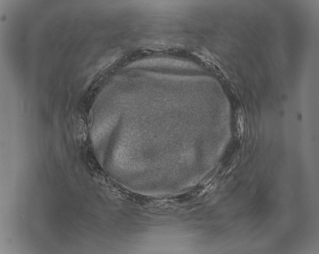 X0000074231253200609081612