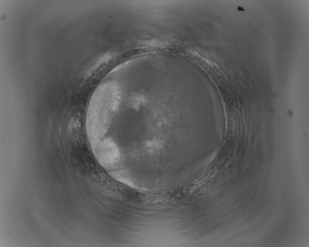 X0000074231254200609081612