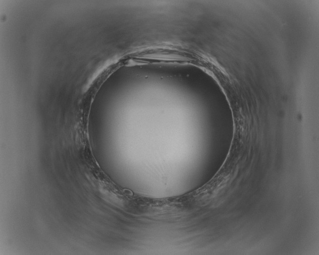 X0000074231256200609081612