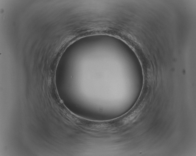 X0000074231257200609081612