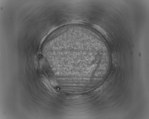 X0000074231260200609081612