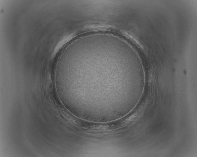 X0000074231261200609081612