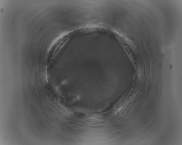 X0000074231262200609081612