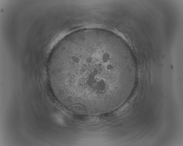 X0000074231263200609081612