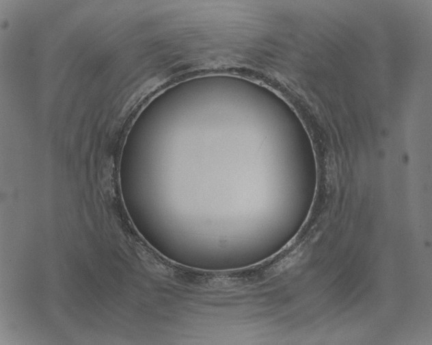 X0000074231265200609081612