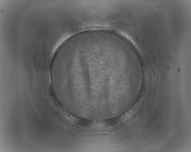 X0000074231267200609081612