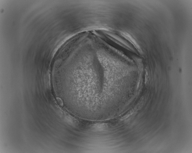 X0000074231268200609081612