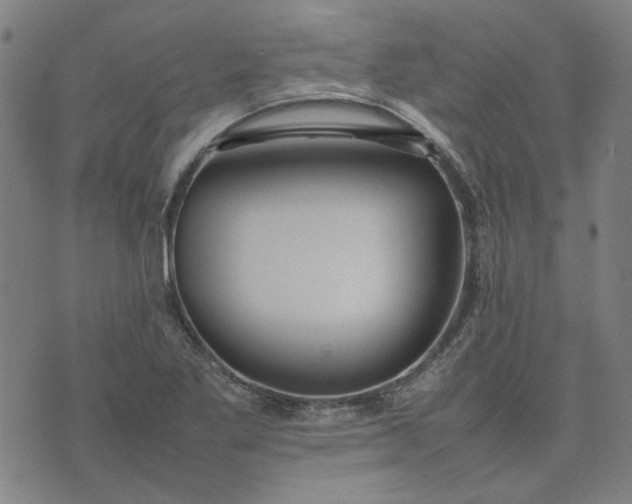 X0000074231269200609081612