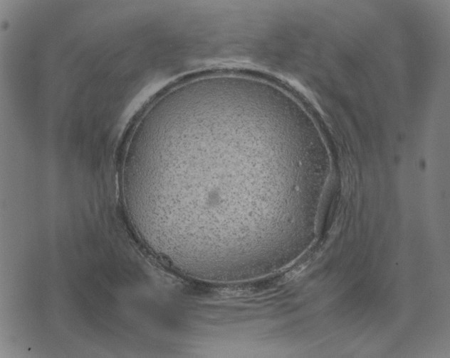 X0000074231271200609081612