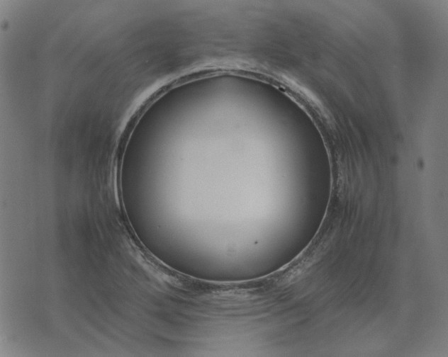 X0000074231272200609081612