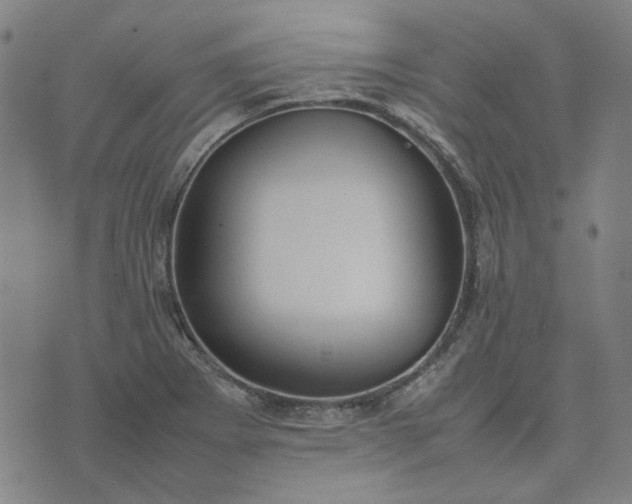 X0000074231273200609081612