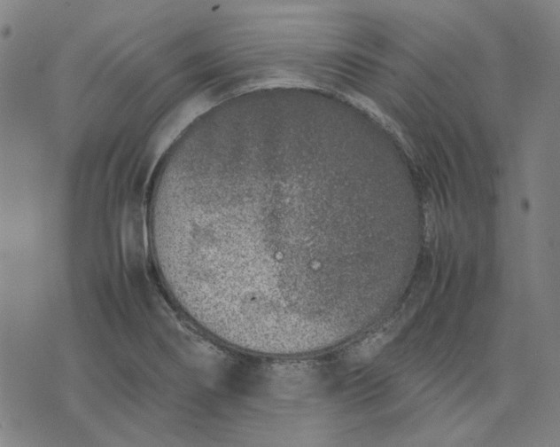 X0000074231274200609081612