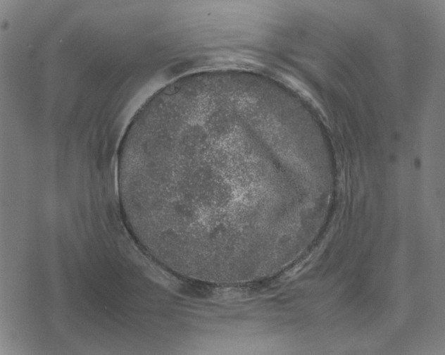 X0000074231275200609081612