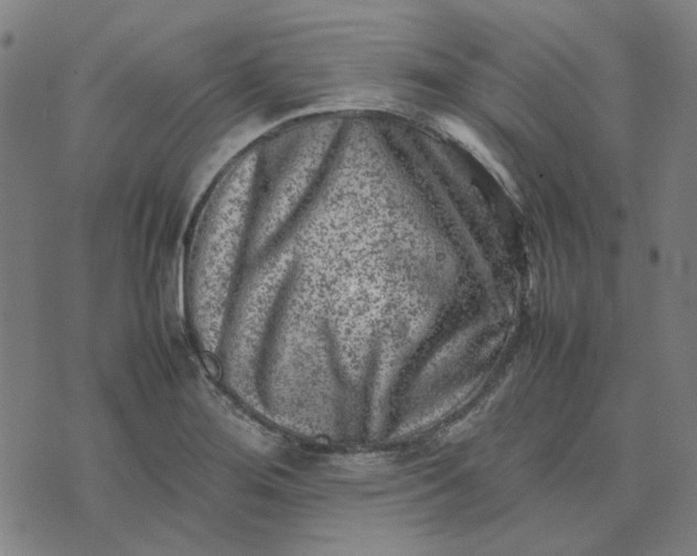 X0000074231276200609081612