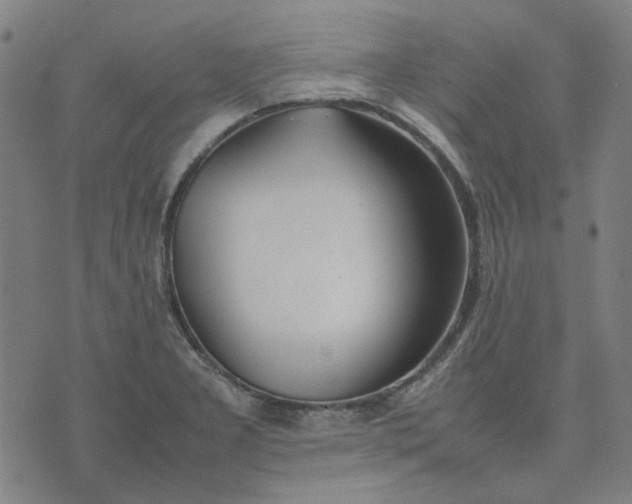 X0000074231277200609081612