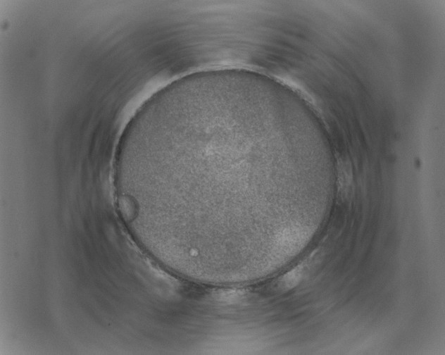 X0000074231278200609081612