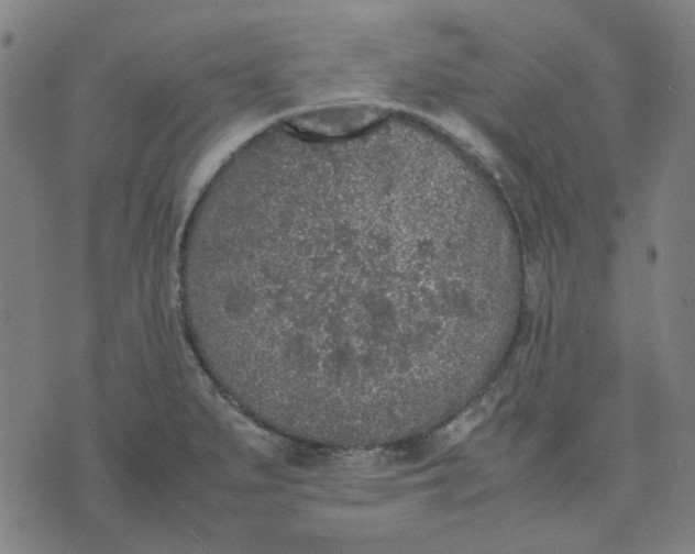 X0000074231279200609081612