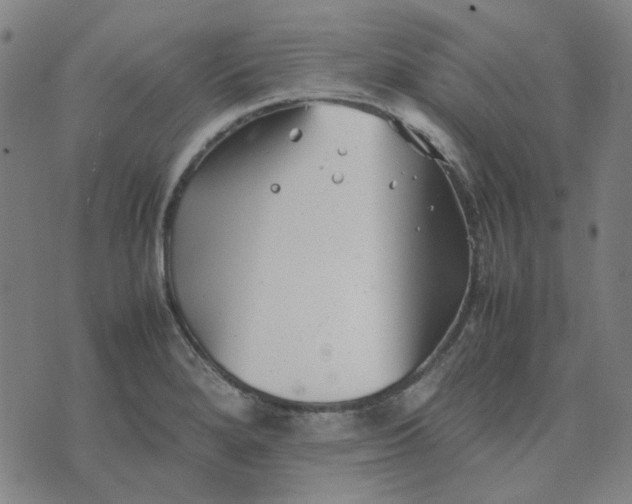 X0000074231280200609081612