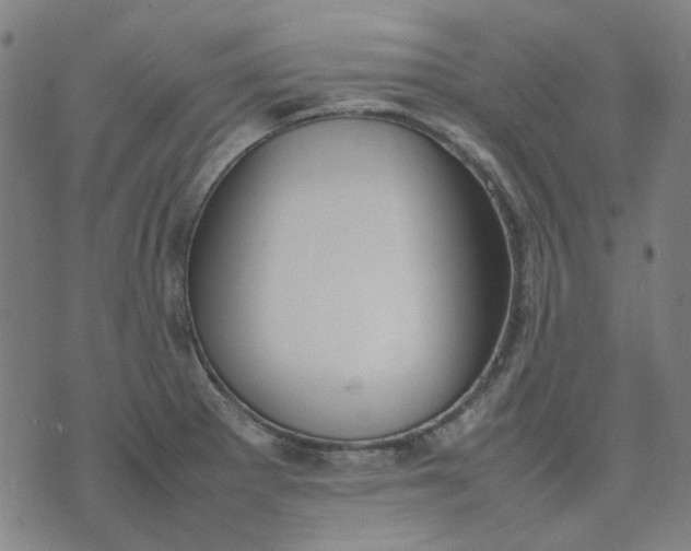 X0000074231281200609081612