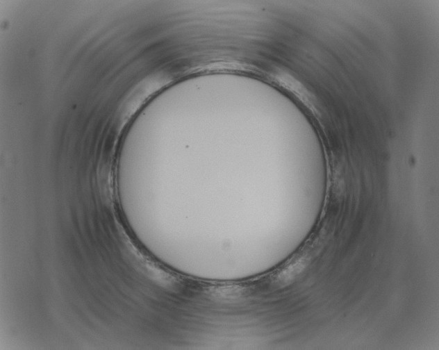 X0000074231282200609081612