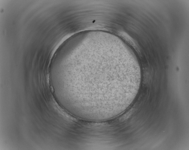 X0000074231284200609081612