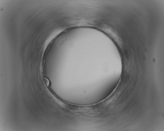 X0000074231285200609081612