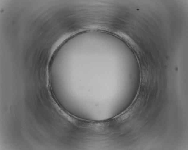 X0000074231286200609081612