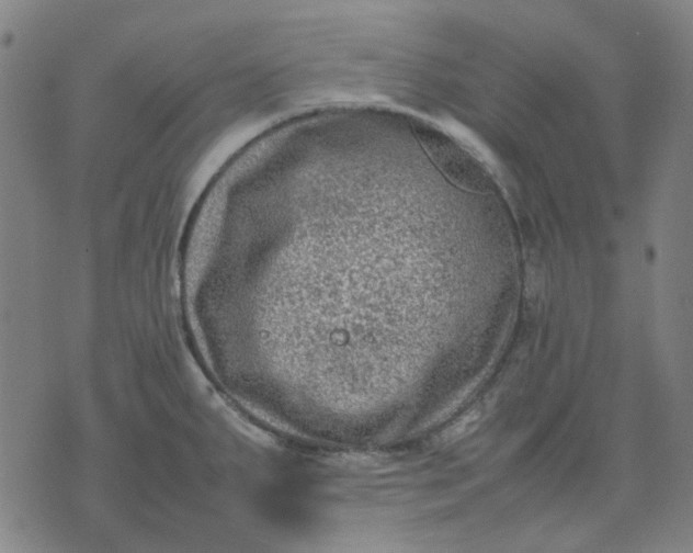 X0000074231287200609081611