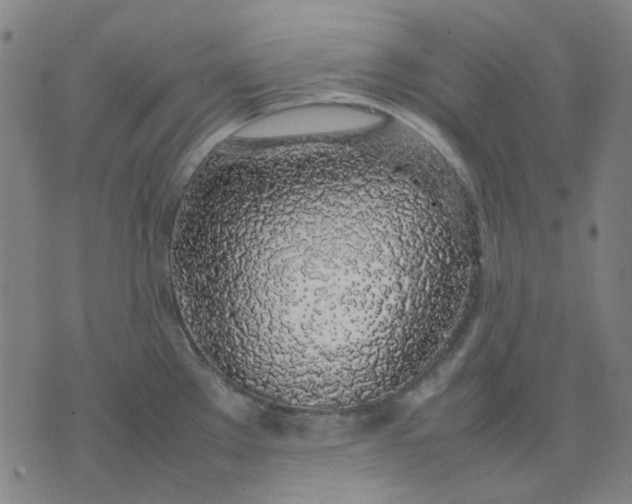 X0000074231289200609081611