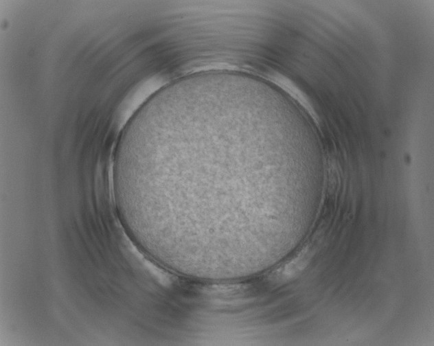 X0000074231290200609081611