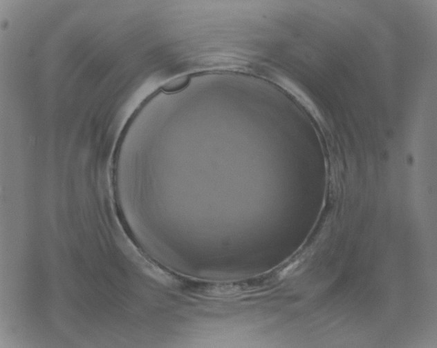 X0000074231291200609081611