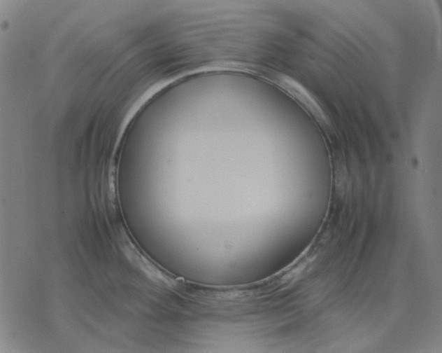 X0000074231292200609081611