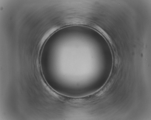 X0000074231293200609081611