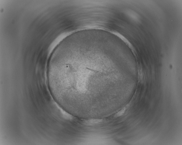 X0000074231294200609081611