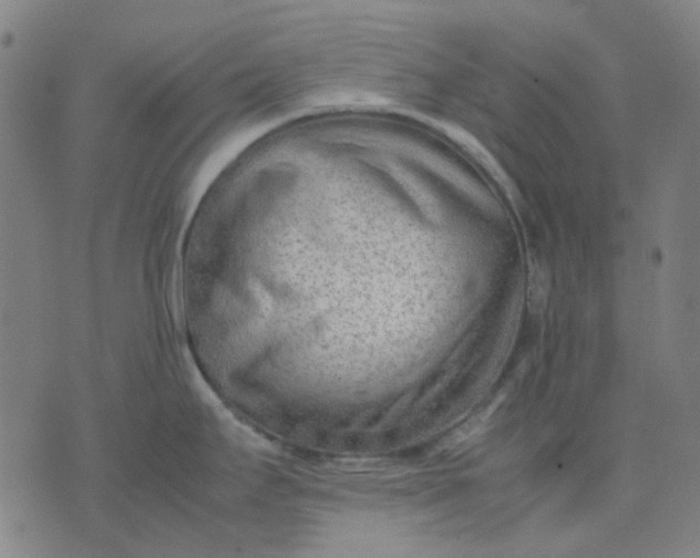 X0000074231295200609081611