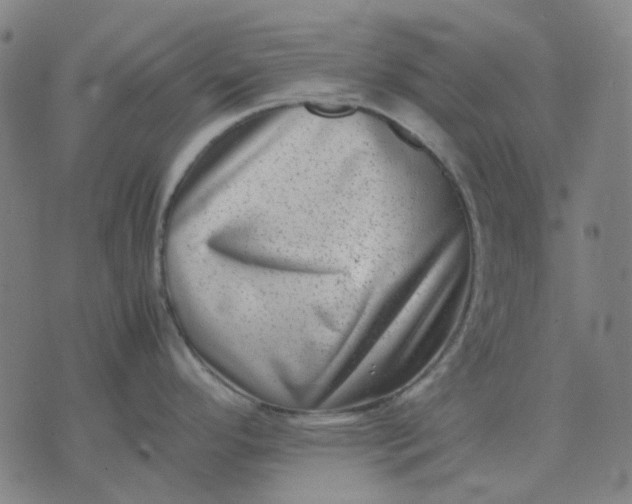 X0000074231296200609081611