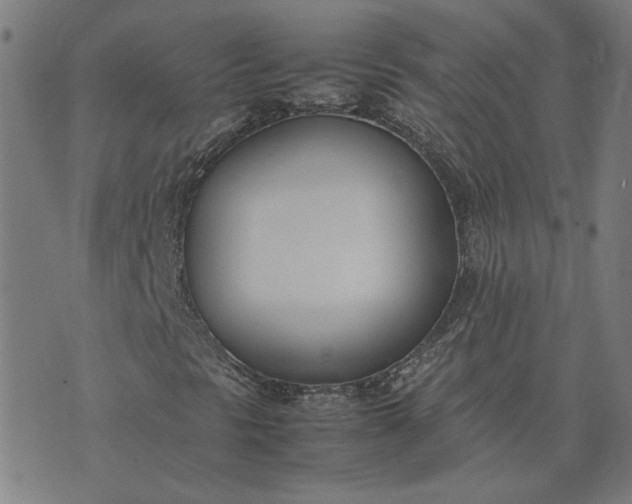 X0000074231297200609081611