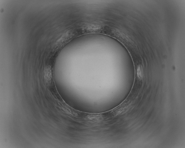 X0000074231299200609081611