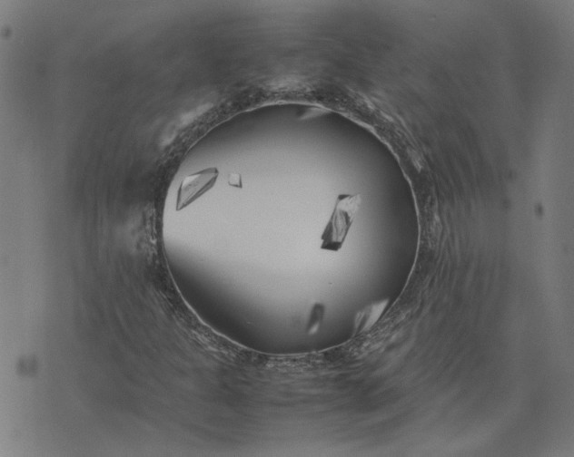 X0000074231301200609081611