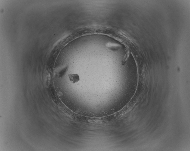 X0000074231302200609081611