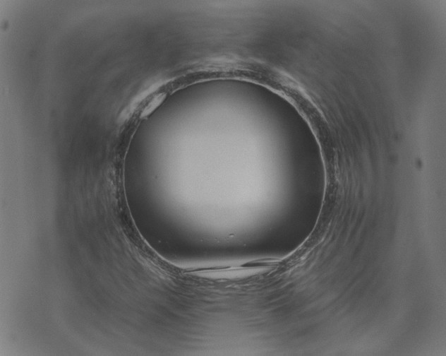 X0000074231304200609081611