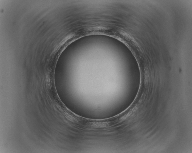 X0000074231305200609081611