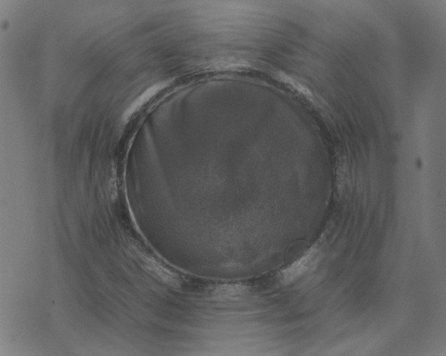 X0000074231306200609081611