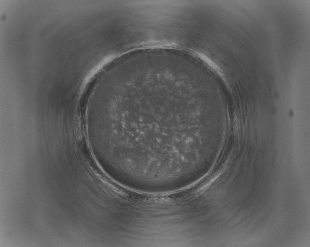 X0000074231310200609081611