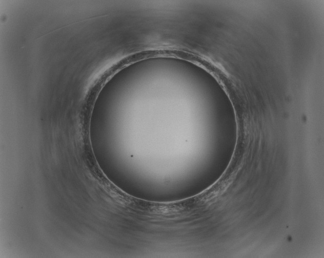 X0000074231311200609081611