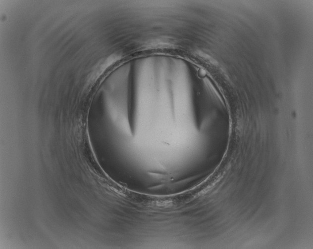 X0000074231313200609081611